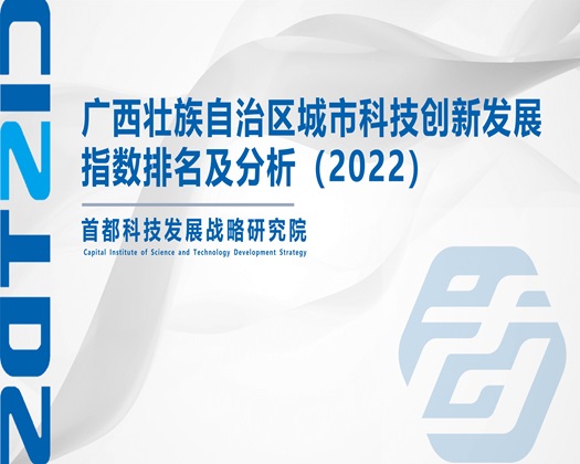 外国女人BBBBBBB【成果发布】广西壮族自治区城市科技创新发展指数排名及分析（2022）